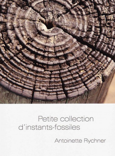 image du livre Petite collection d’instants-fossiles