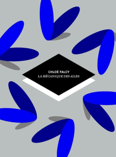 image du livre La mécanique des ailes 