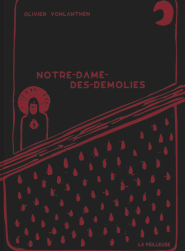 image du livre Notre-Dames-des-Démolies