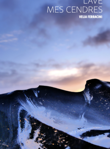 image du livre Lave mes cendres